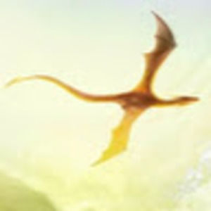 Meet your Posher, Alexandria